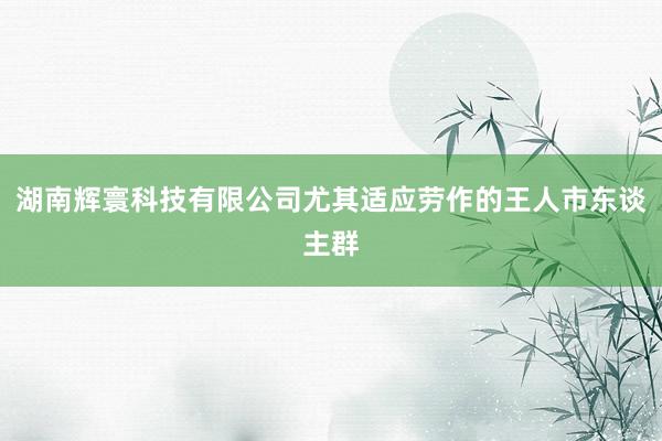 湖南辉寰科技有限公司尤其适应劳作的王人市东谈主群